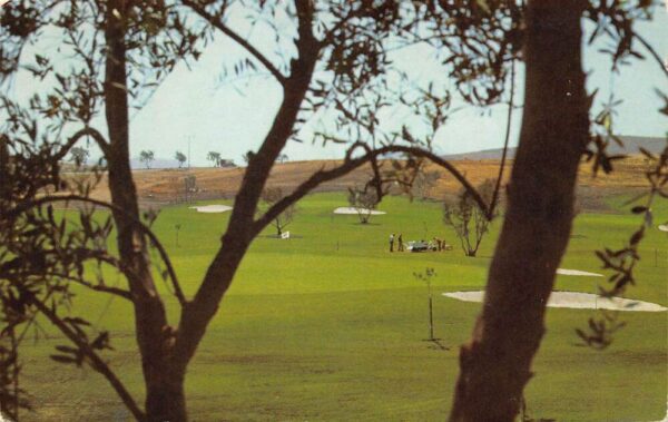 Laguna Hills California Leisure World Golf Course View of Golf Greens PC U2084