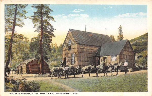 Salmon Lake California McGee's Resort Mule Team Shown Vintage Postcard U2200