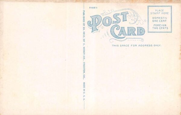 Salmon Lake California McGee's Resort Mule Team Shown Vintage Postcard U2200 - Image 2