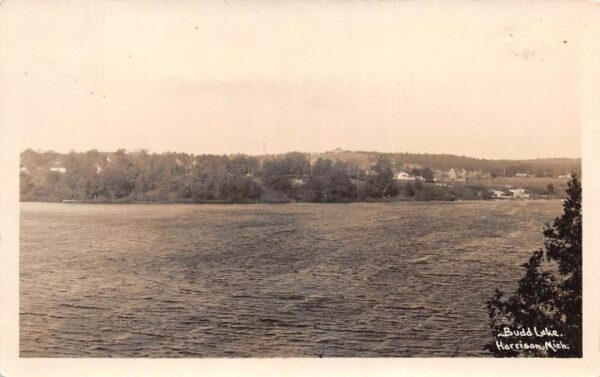 Harrison Michigan Budd Lake Scenic View Real Photo Postcard AA64648