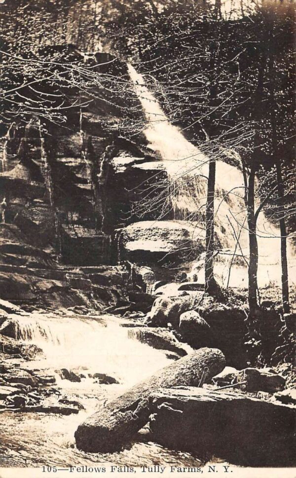 Tully Farms New York Fellows Falls Real Photo Vintage Postcard AA64667
