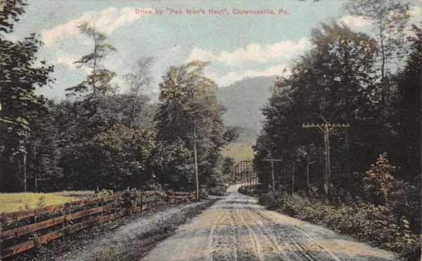 Curwensville Pennsylvania Drive by Pee Wee's Nest Vintage Postcard AA64671