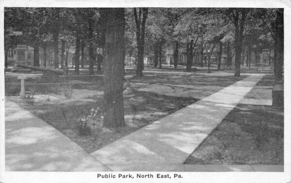 North East Pennsylvania Public Park Scenic View Vintage Postcard AA64683