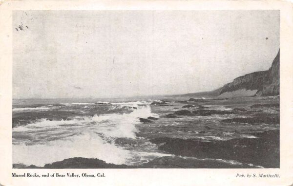 Olema California Mussel Rocks, End of Bear Valley B/W Lithograph Vintage PC U2212