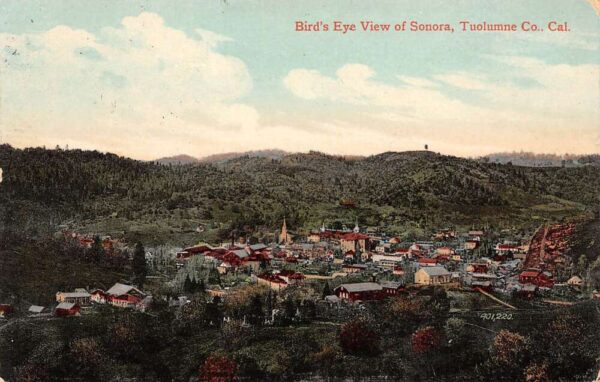 Sonora California Bird's Eye View of Tuolumne County Color Lithograph PC U2222