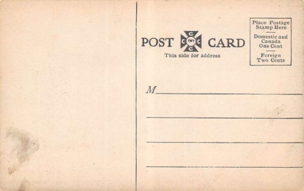 Laurens New York Main Street B/W Lithograph Vintage Postcard U2405 - Image 2