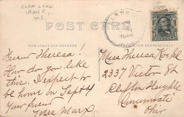 Clam Lake Iron R Wisconsin Pine Point Woman with Children Real Photo PC AA64818 - Image 2