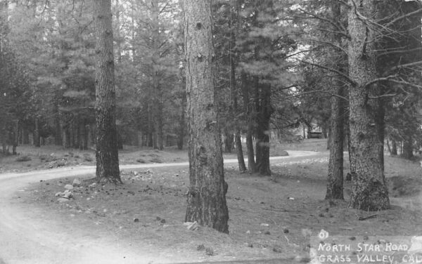 Grass Valley California North Star Road Real Photo Vintage Postcard AA64848