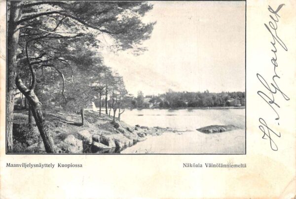 Kuopiossa Kuopio Finland Vainolanniemi Park Scenic View Vintage Postcard AA64919