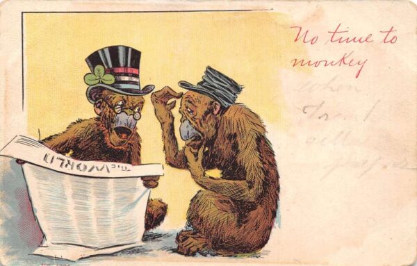 Greetings "No Time to Monkey" Dressed Monkeys Reading Newspaper PC AA64920