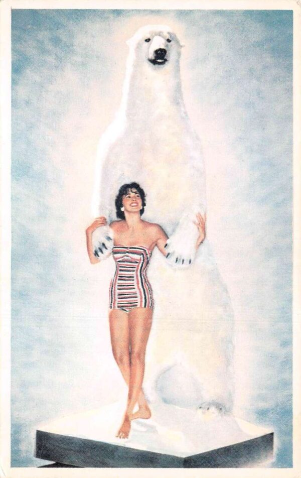 Elko Nevada Monte Carlo Casino White King Bear and Showgirl Postcard AA65008