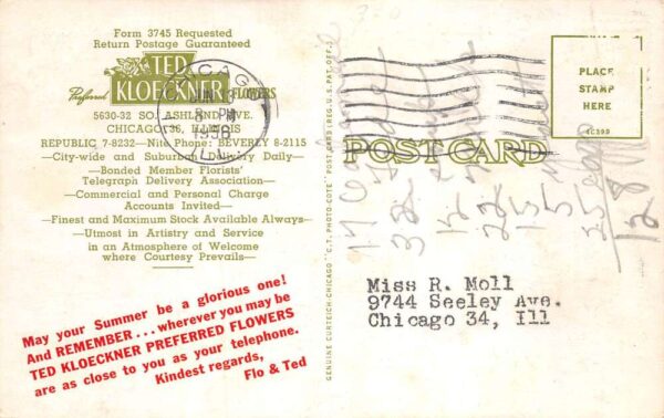 Chicago Illinois Ted Kloeckner Flowers Florist Shop Vintage Postcard AA65055 - Image 2