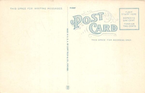 Chicago Illinois Carl Marty Co Cheese Store Muttiview Vintage Postcard AA65077 - Image 2