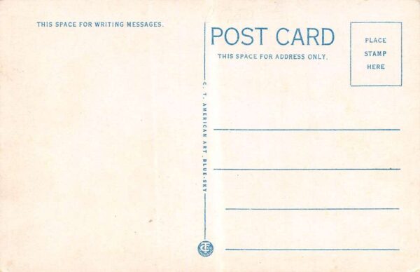 Edwardsville Illinois Business Section Drug Store Vintage Postcard U2807 - Image 2