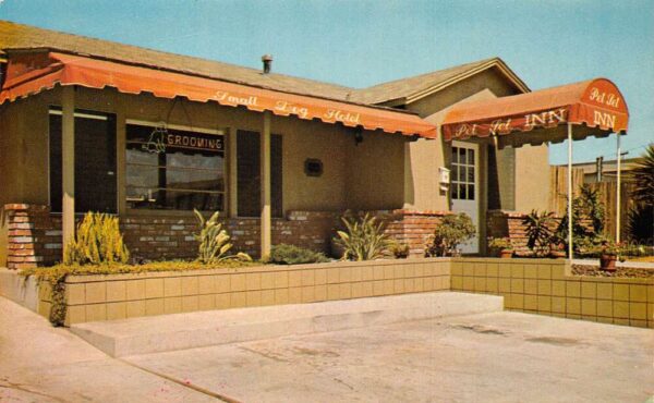 Gardena California The Pet Set Inn Dog Hotel Grooming Parlor Postcard AA65103