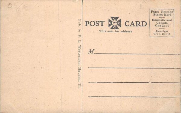 Havana Illinois Hotel at Quiver Beach Vintage Postcard AA65130 - Image 2