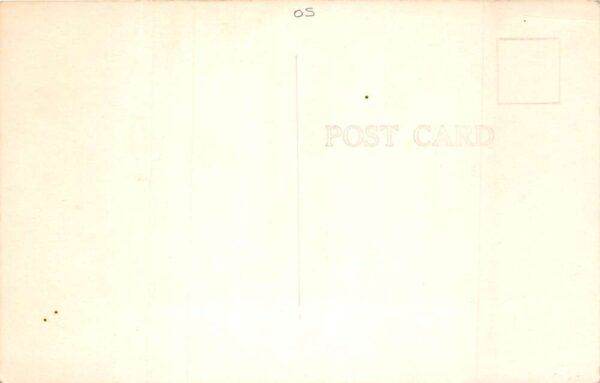 Twin Lakes Georgia Van's Twin Lakes Motor Court Real Photo Postcard AA65194 - Image 2