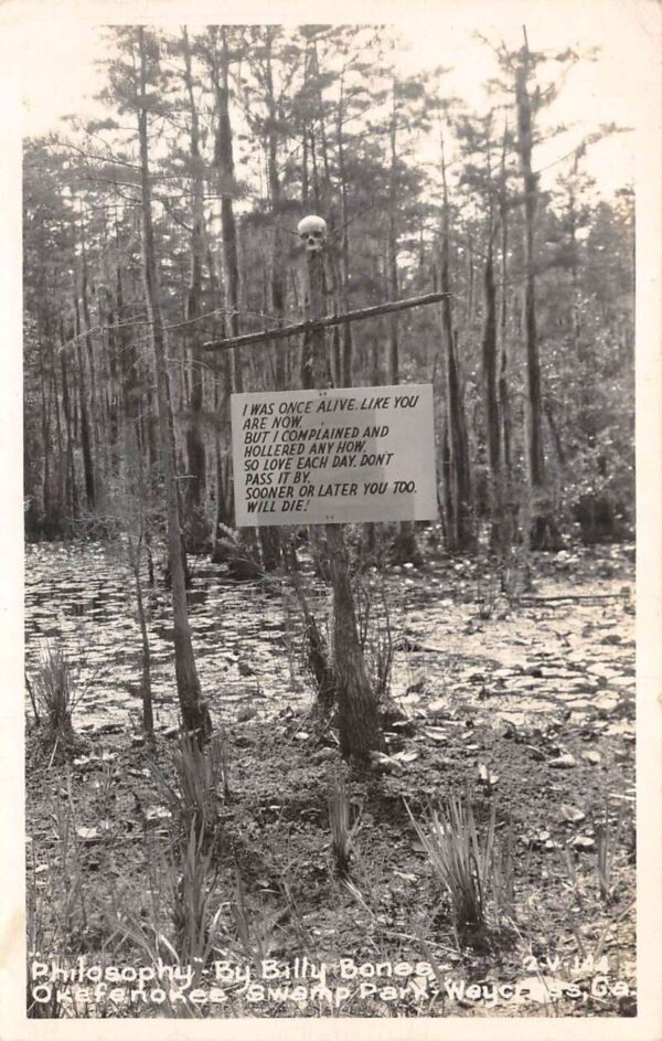 Waycross Georgia Okefenokee Swamp Park Billy Bones Sign Real Photo PC AA65291
