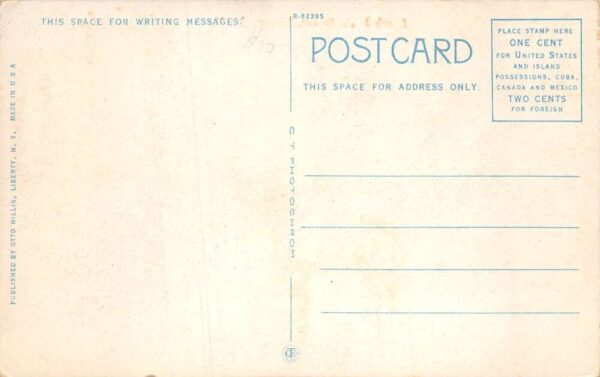 Liberty New York South Main Street Police Officer on Horse Postcard AA65300 - Image 2