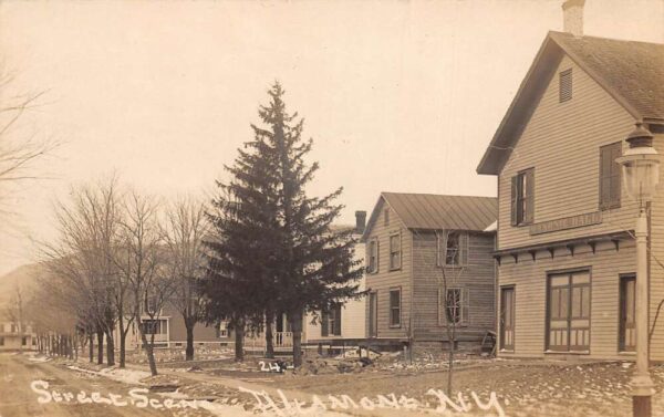 Altamont New York Street Scene Real Photo Vintage Postcard AA65317
