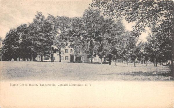 Tannersville New York Maple Grove House Exterior, Sepia Tone Lithograph PC U3350