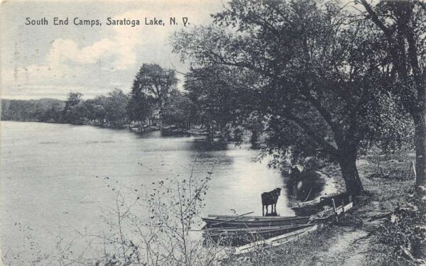 Saratoga Lake New York South End Camps B/W Lithograph Vintage Postcard U3562
