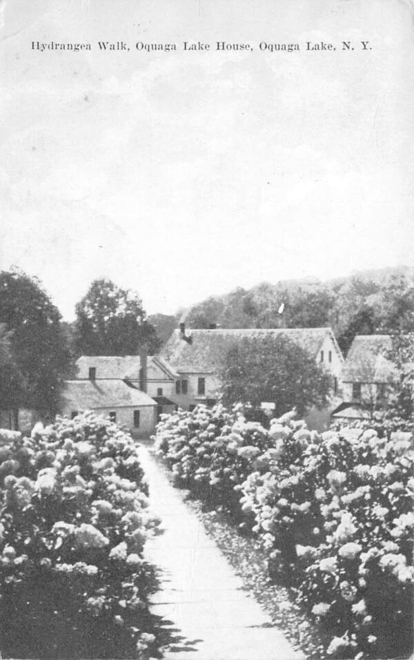 Oquaga Lake New York Hydrangea Walk At Oquaga Lake House Vintage Postcard U3623