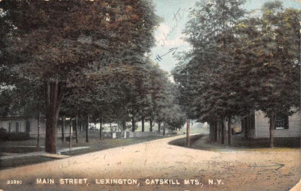 Lexington New York Main Street, In The Catskill Mts. Color Lithograph PC U3655