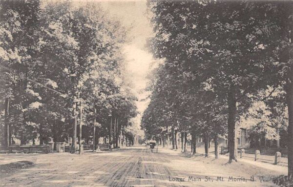 Mount Morris New York Lower Main Street Residential Area Vintage Postcard U3660