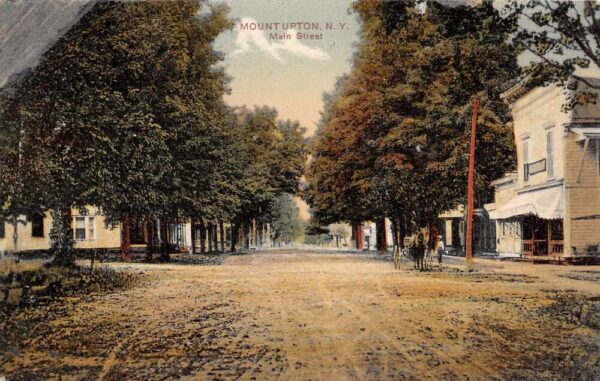 Mount Upton New York Main Street, Residential Hand Colored Lithograph PC U3662