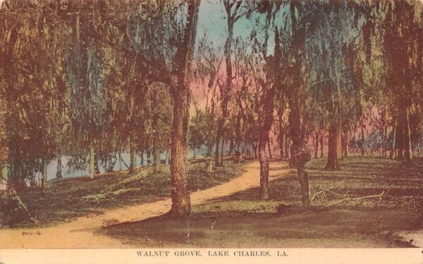 Lake Charles Louisiana Walnut Grove, Lake Charles Hand Colored Lithograph PC U3727