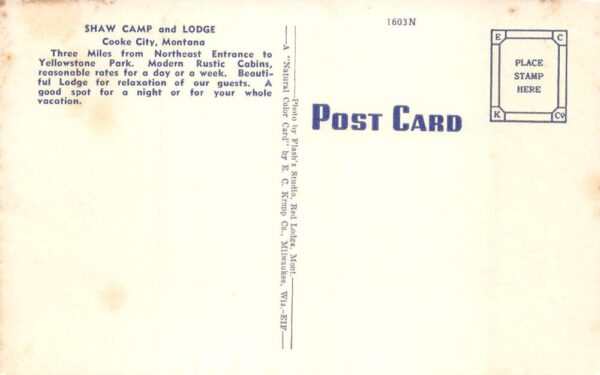 Cooke City Montana Shaw Camp and Lodge Vintage Postcard AA65437 - Image 2