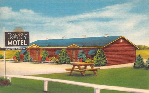 Newaygo Michigan M37 Motel Linen Vintage Postcard AA65495