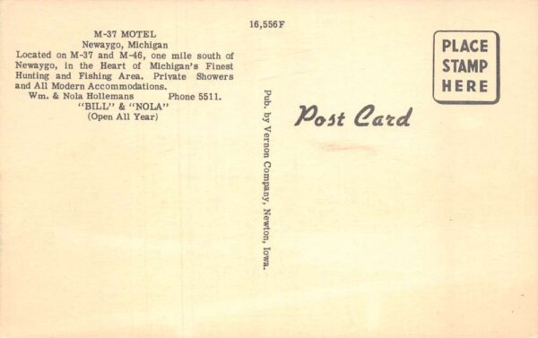 Newaygo Michigan M37 Motel Linen Vintage Postcard AA65495 - Image 2
