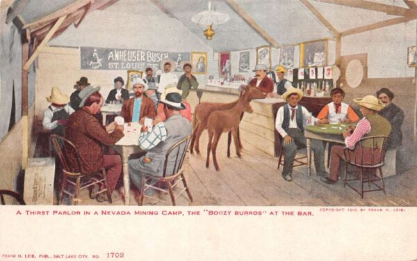 Nevada Mining Camp Parlor Tent Busch Beer Sign Burros Donkeys PC AA65658