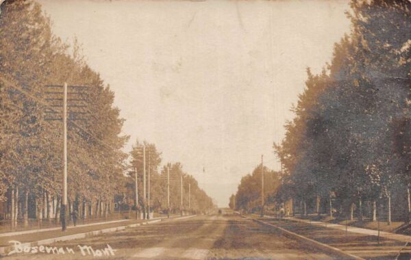 Bozeman Montana Tree Lined Street Scene Real Photo Vintage Postcard AA65662