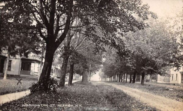 Hermon New York Residential Area Washington Street Real Photo Postcard AA65676