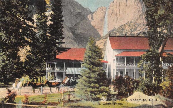 Yosemite California Sentinel Hotel by Yosemite Falls Vintage Postcard AA65733