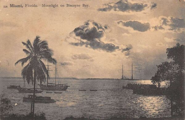 Miami Florida Moonlight On Biscayne Bay Sepia Tone Lithograph Vintage PC U3802