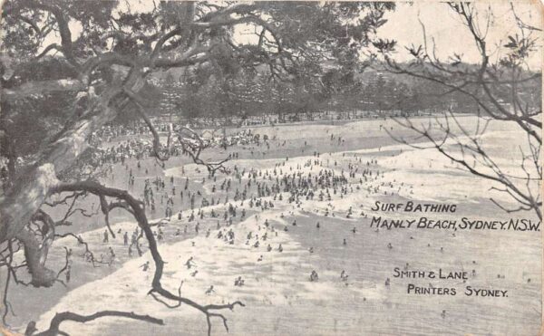 Sydney NSW Australia Manly Beach Surf Bathing Birds Eye View Postcard AA65777