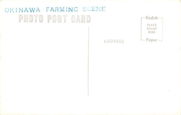 Okinawa Japan Farming Scene Rice Fields Real Photo Postcard AA65901 - Image 2