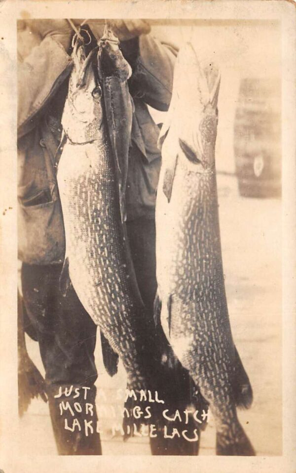 Mille Lacs Lake Minnesota Mornings Catch Fishing Real Photo Postcard AA65935
