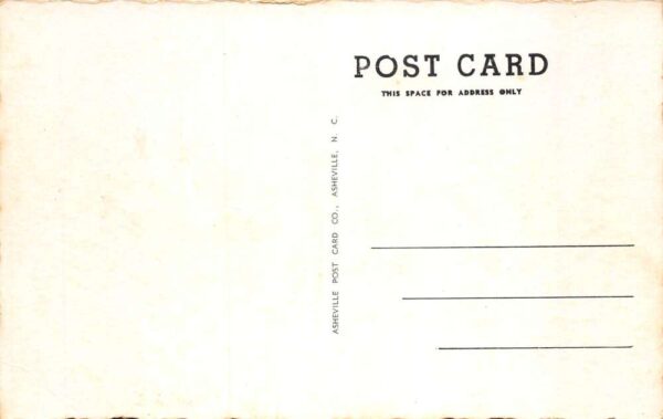 DeLand Florida Lawn Bowling Club Vintage Postcard AA65991 - Image 2