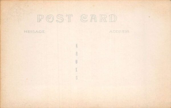 Greenfield New Hampshire Birds Eye View Real Photo Vintage Postcard AA66010 - Image 2