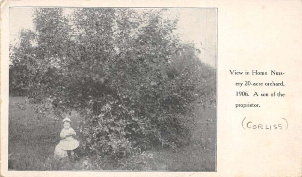 La Fayette Illinois Home Nursery Boy in Orchard Vintage Postcard AA66088