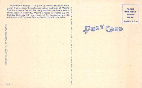 Marineland Florida Amusement Park Observation Portholes Vintage Postcard AA66120 - Image 2