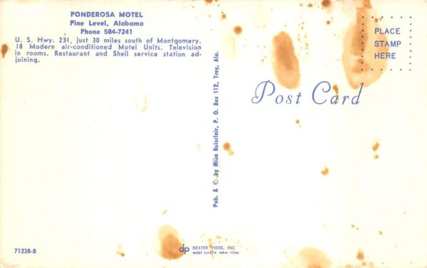 Pine Level Alabama Ponderosa Motel Neon Sign at Night Vintage Postcard AA66436 - Image 2