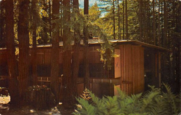 Mt Hermon California Christian Conference Center Azalea Lodge Postcard AA66449