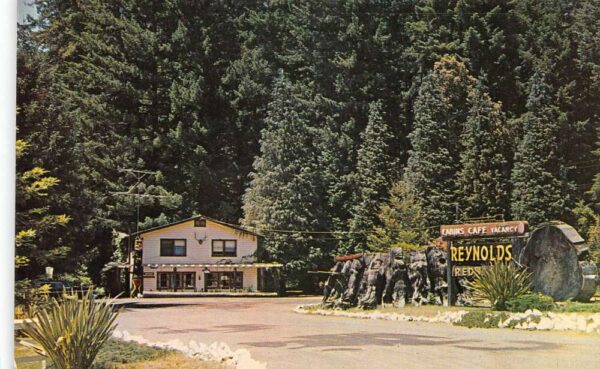Redwood Highway California Reynold's Redwoods Cabins Vintage Postcard AA66455