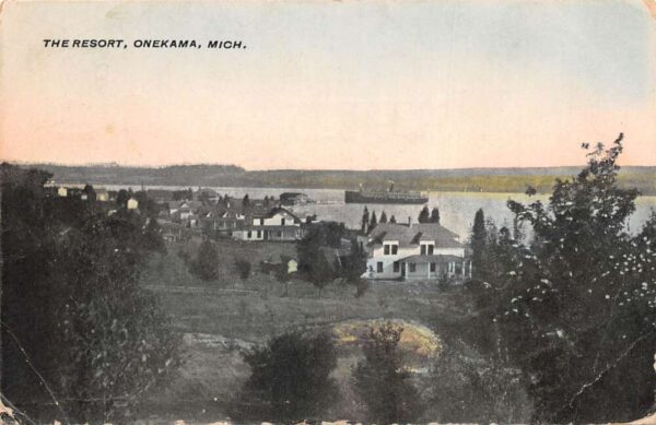 Onekama Michigan The Resort Birds Eye View Vintage Postcard AA66554
